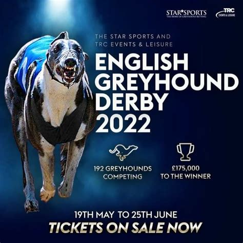 english greyhound derby 2021|English Greyhound Derby .
